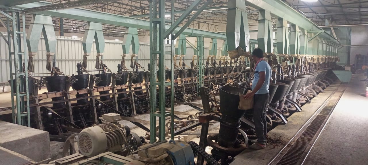 Seed crushing in kolhu